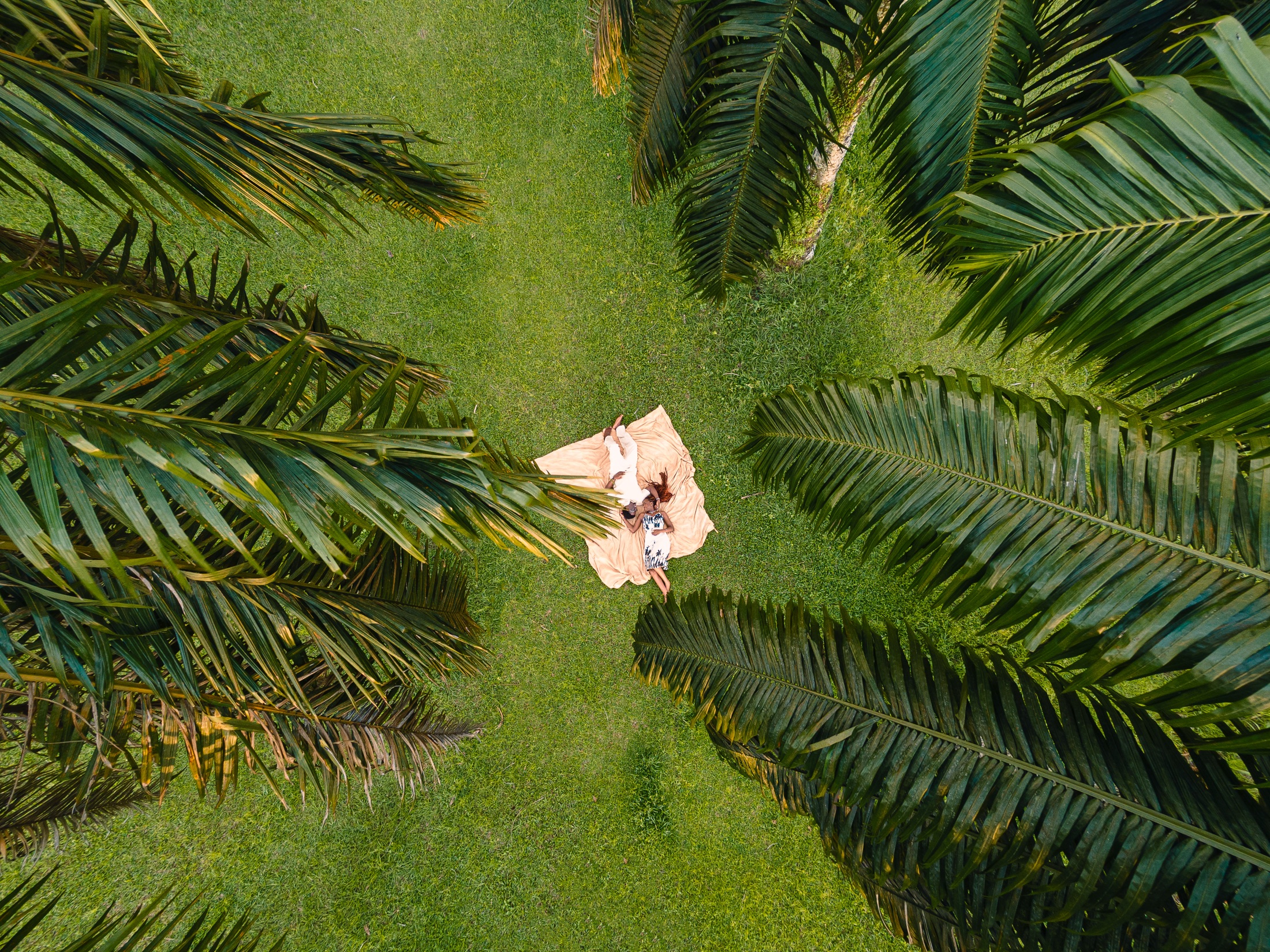 A drone portrait of Esther-Praise and Jeremiah in a green field